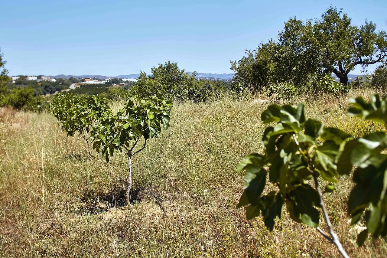 Monte Do Alamo - Turismo Rural Tavira Farm stay