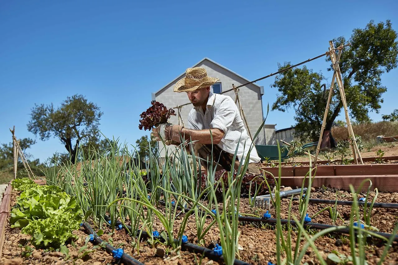 Farm stay Monte Do Alamo - Turismo Rural Tavira