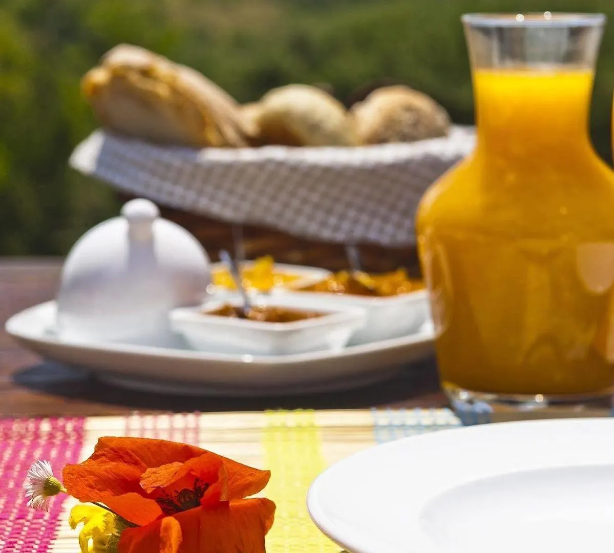 Monte Do Alamo - Turismo Rural Tavira Farm stay
